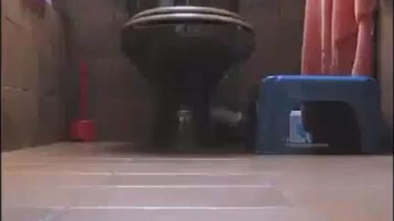 Watch this hot brunette scat on the floor, getting pounded from behind like a dirty little slut