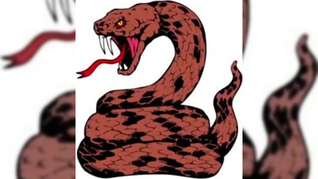 Watch these filthy sluts scat & make their slaves watch!