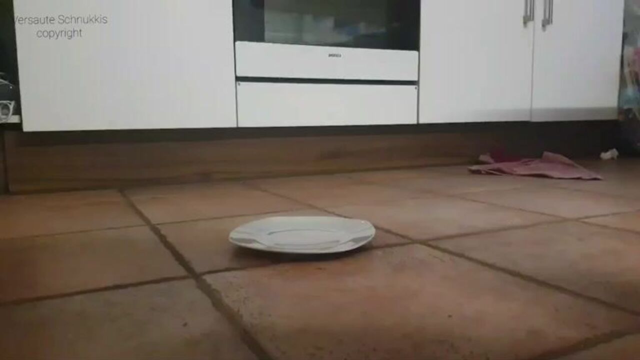 Get ready to be scammed in this hot and heavy scat porn video