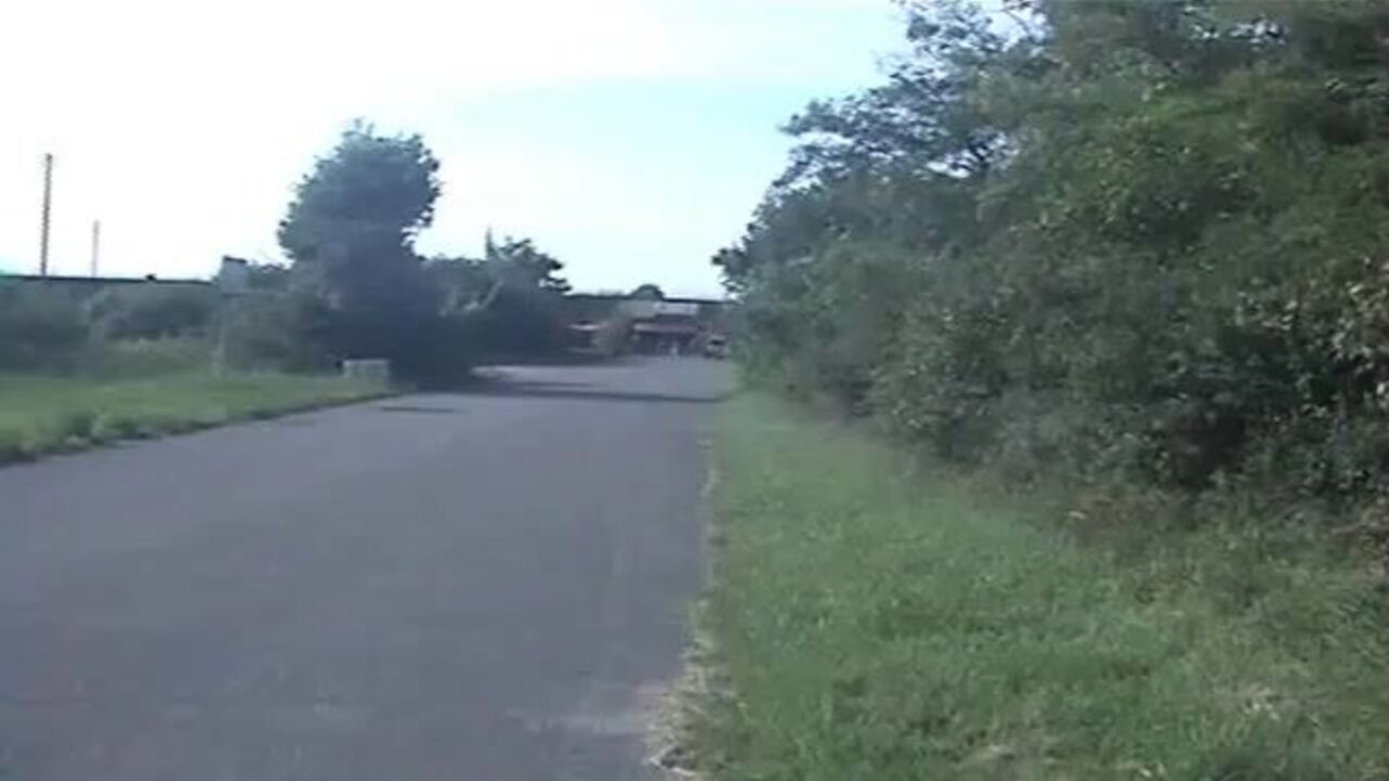 Watch this natural slut get off on scat & dirty fun