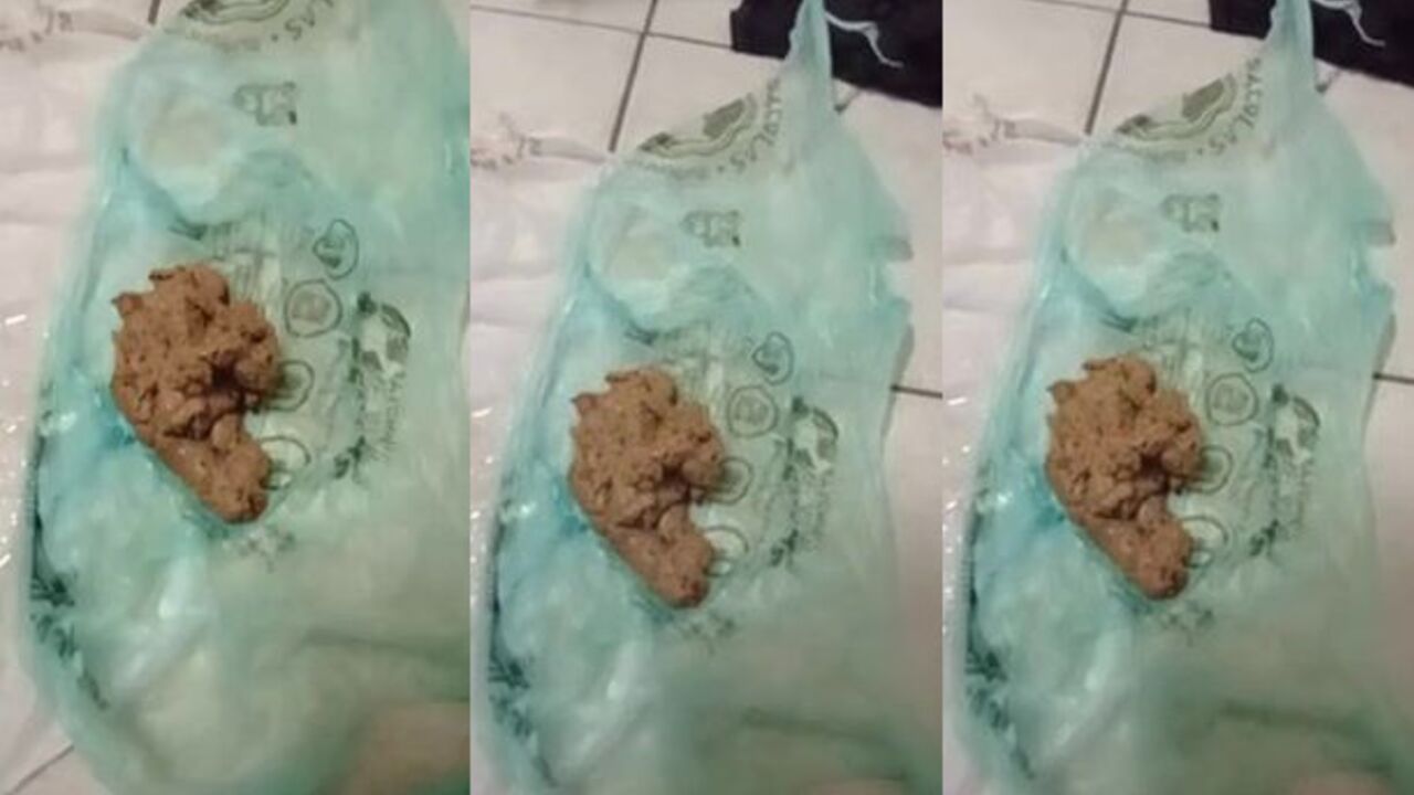 Watch this filthy slut scat and get pounded hard in a scat video