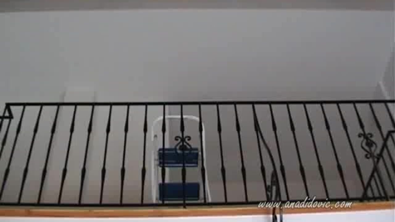 AnaDidovic117: The ultimate scat porn video collection