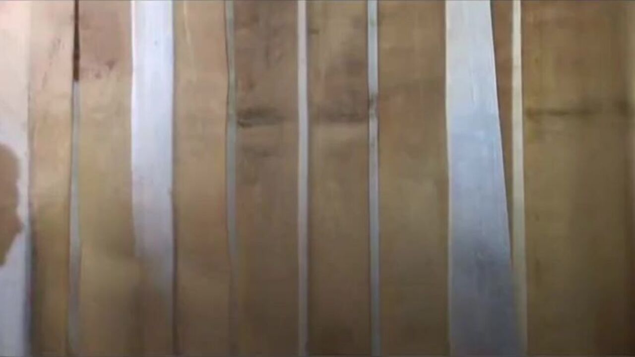 Watch these kinky babes get their pussies and butts filthy in a wild scat scene