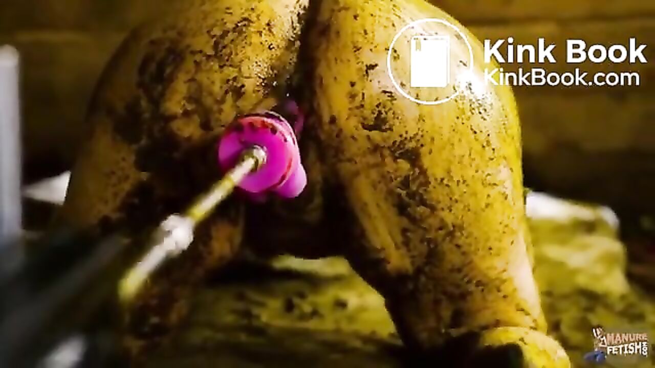 Lyndra Lynn, the dirty scat girl, gets fucked hard in cowshit