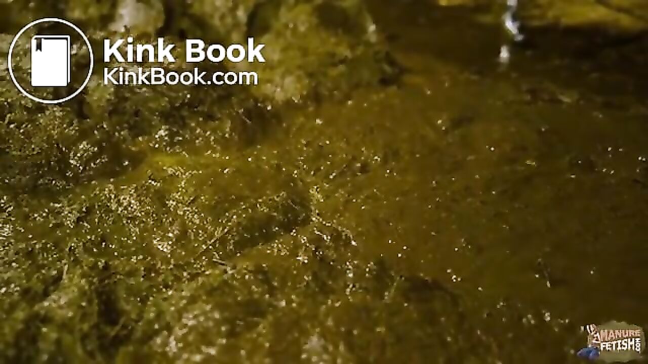 Lyndra Lynn, the dirty scat girl, gets fucked hard in cowshit