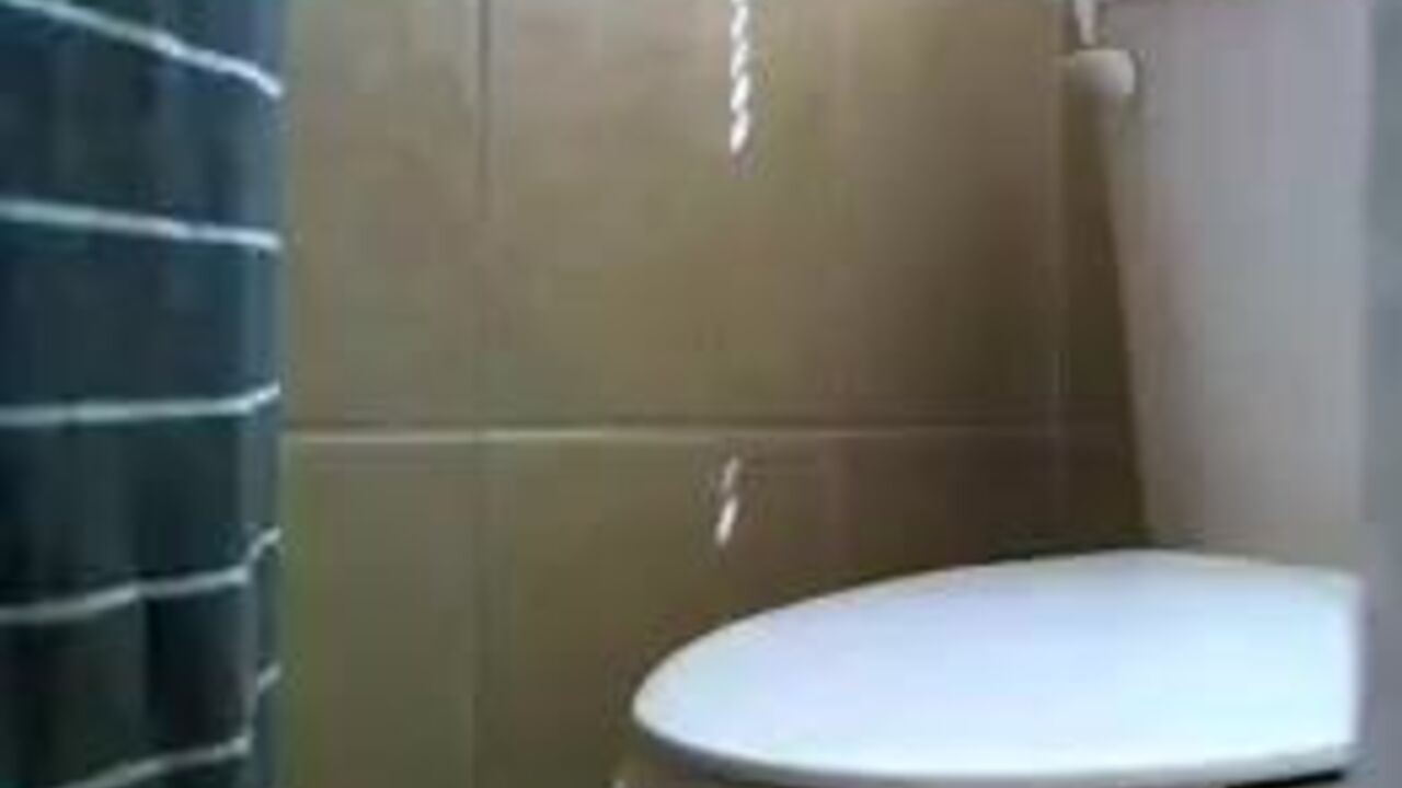 Watch Lola Summers get her scat drilled in this 3-part video, full of pooped-out sluts!