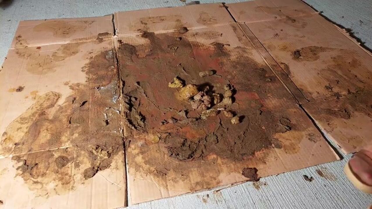 Dirty teen gets a surprise from her pantyhose-wearing doggy