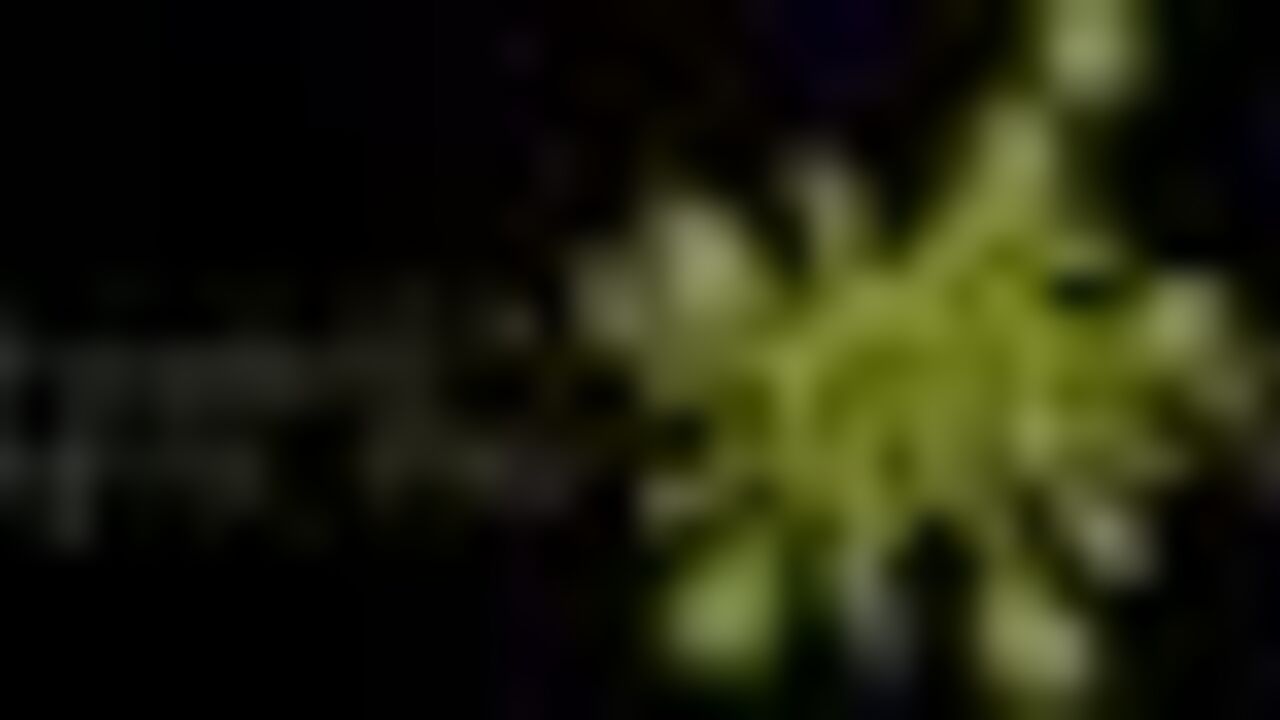 Watch these filthy sluts get their assholes licked and their pussies filled with piss