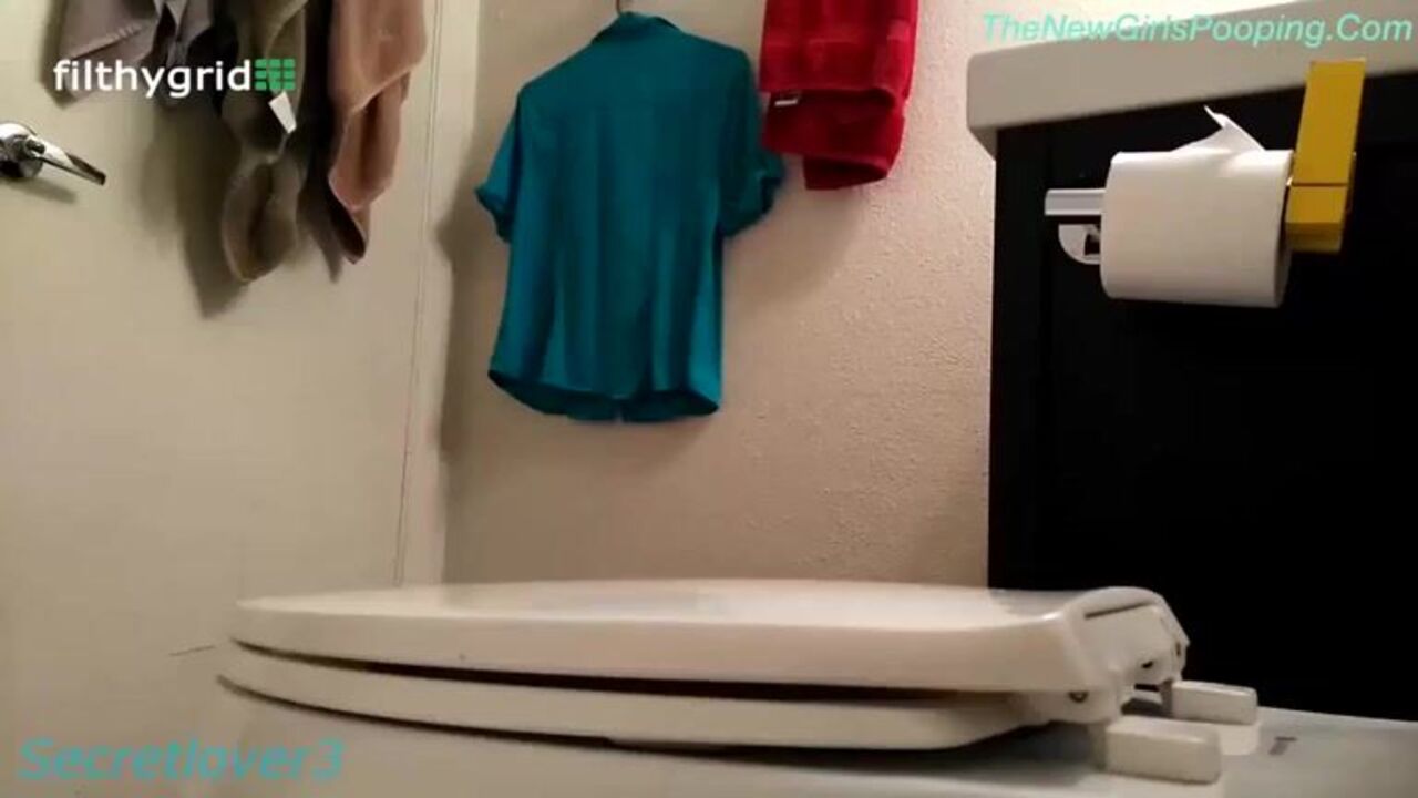 Watch as this kinky slut satisfies her secret desires in the toilet