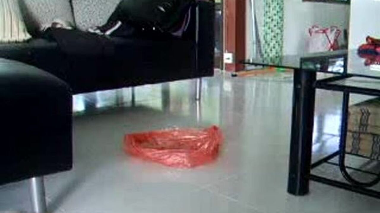 Watch this filthy slut get her scat toilet destroyed in this scat porn video