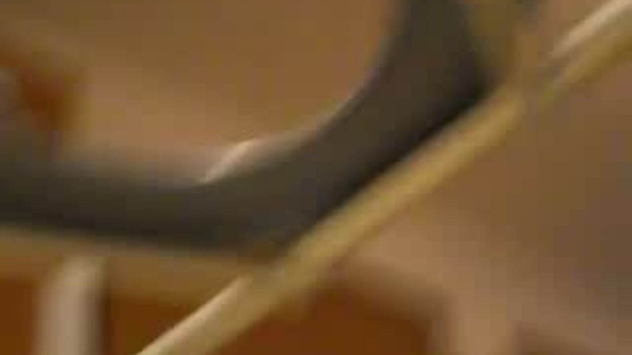 Big Woman Relief 6: The ultimate scat porn experience with a sexy slutty babe