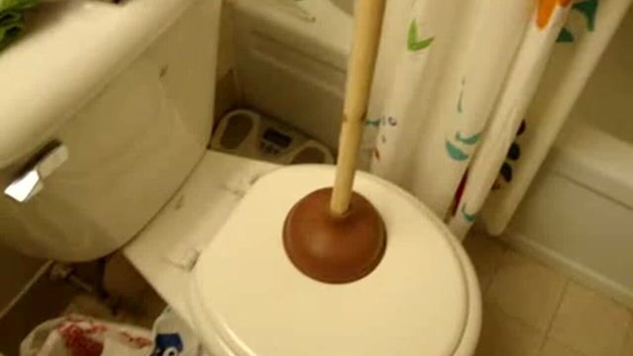 Watch this kinky teen get her scat stuffed with a huge load