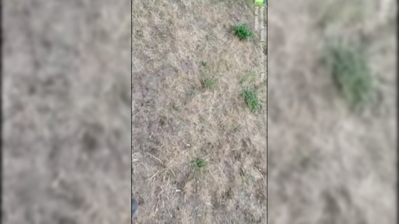 Watch Anette Chie Debout get her filthy pussy and ass drilled in scat porn videos