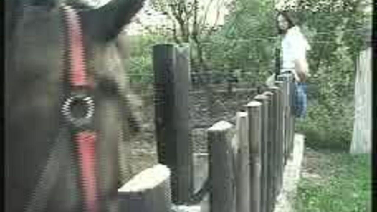 Watch these kinky scat girls get freaky in their own filth