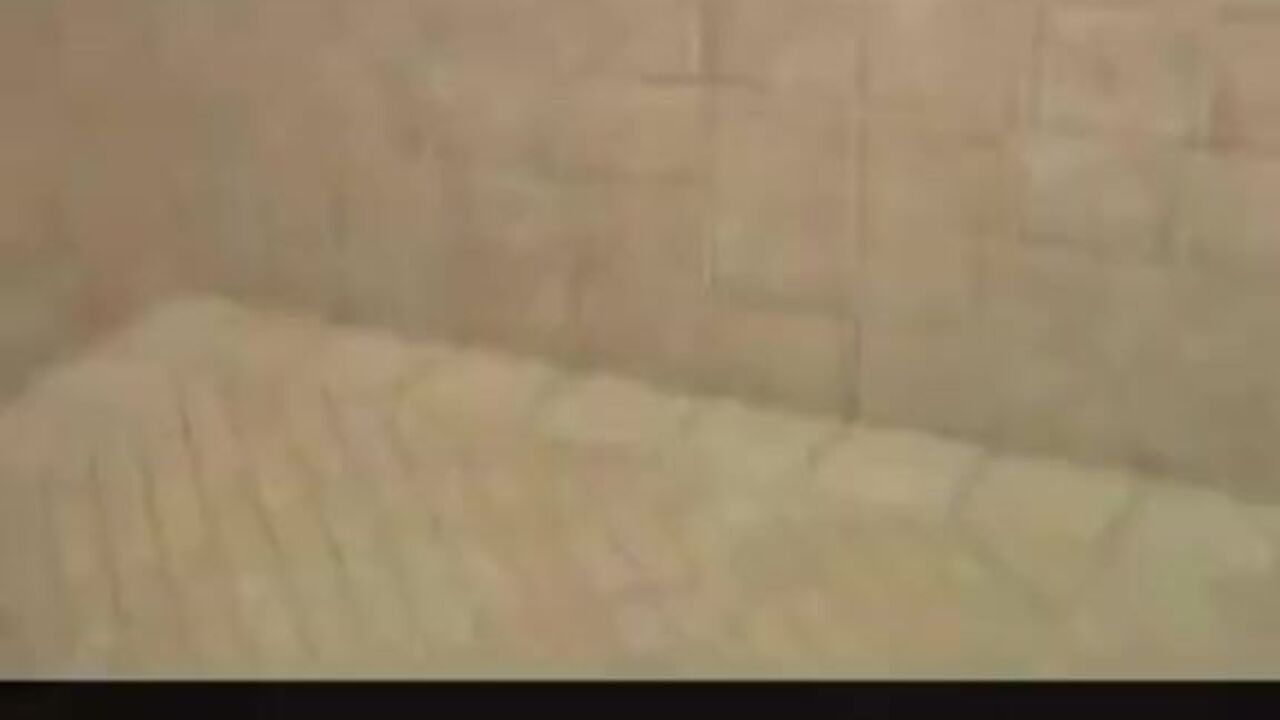 Watch this cute teen girl get off with her scat virginity for all to see