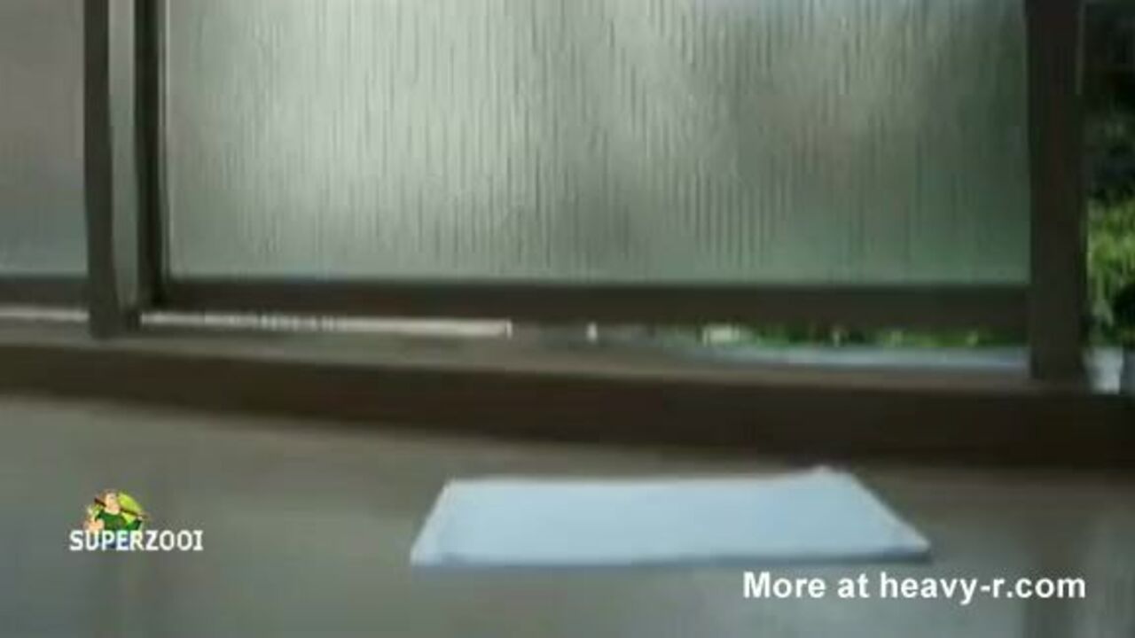 Asian slaves learn how to pooped like a lady in scat porn videos