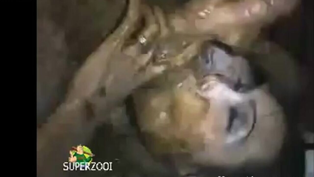 Honey Bee takes a filthy load on her ass and feet after a filthy mouthful