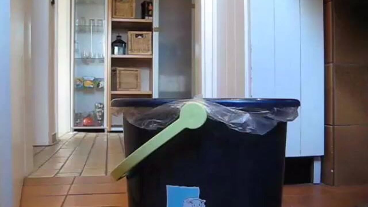 Get a taste of this kinky scat slave in scat porn videos and scat fetish videos!