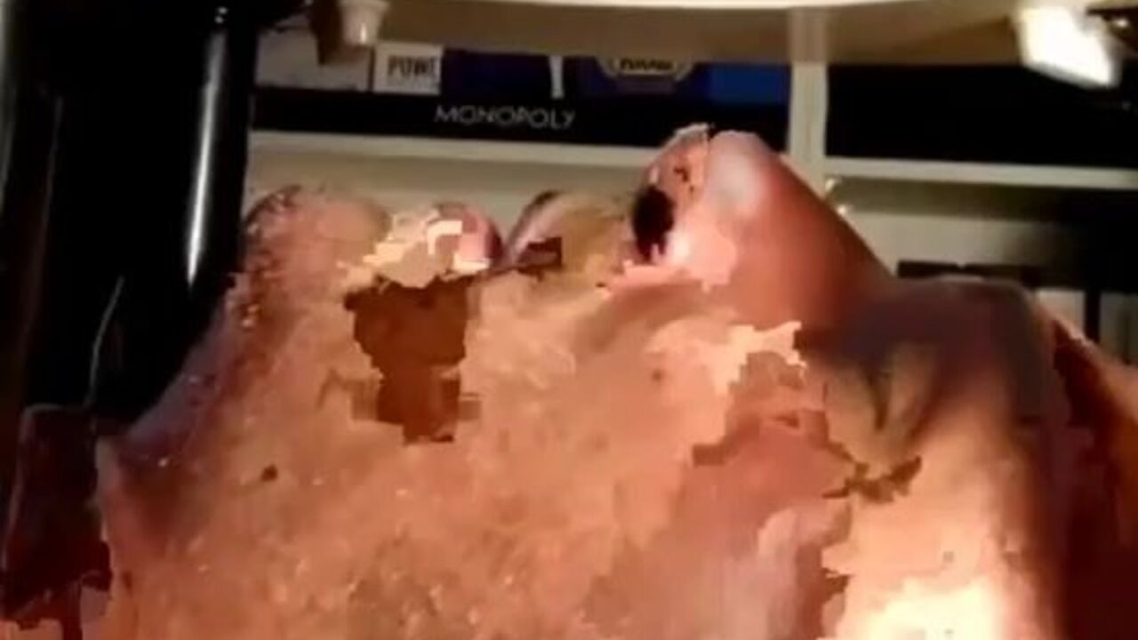 Fulfill your hunger for scat with this wild and kinky video