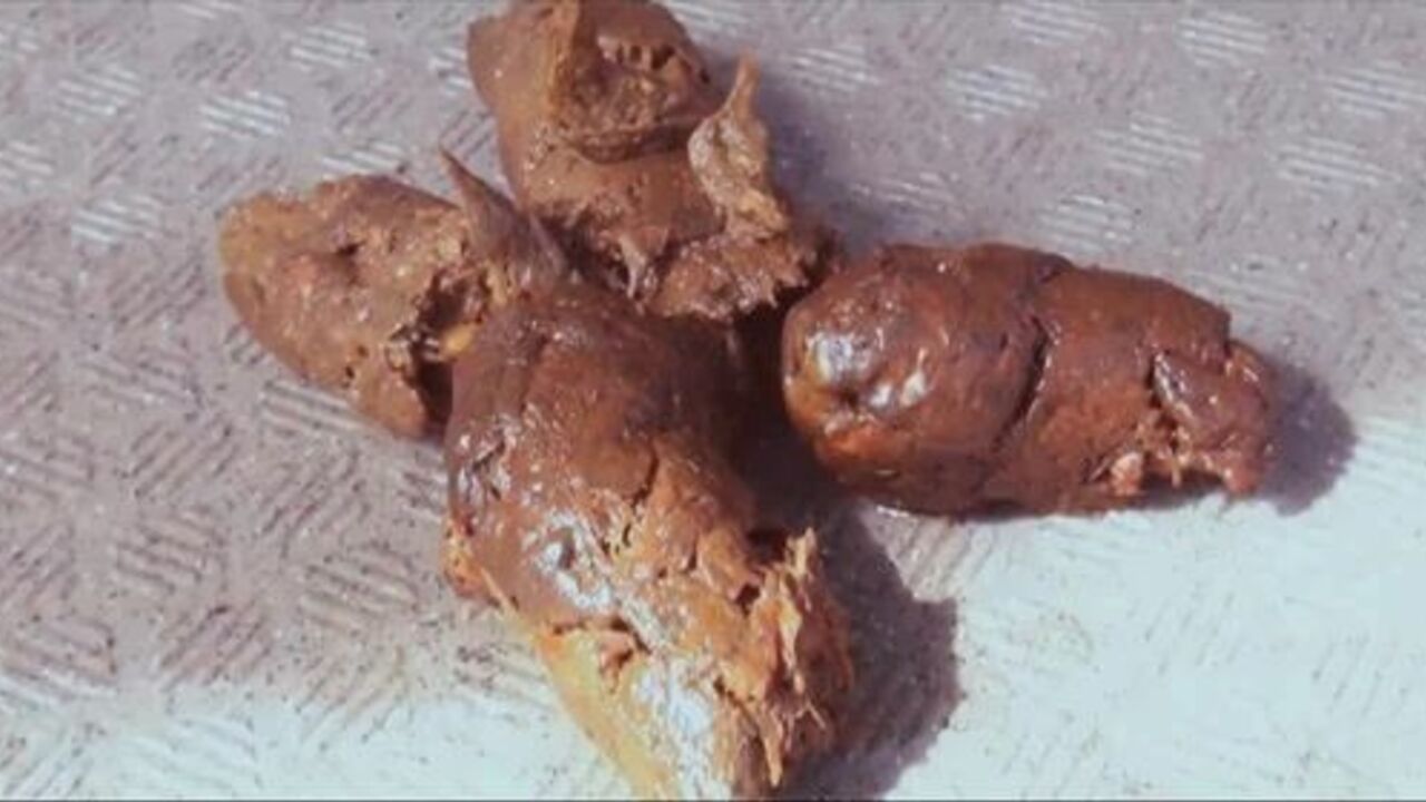 Watch these kinky Japanese girls get off with their scat and pee fetish