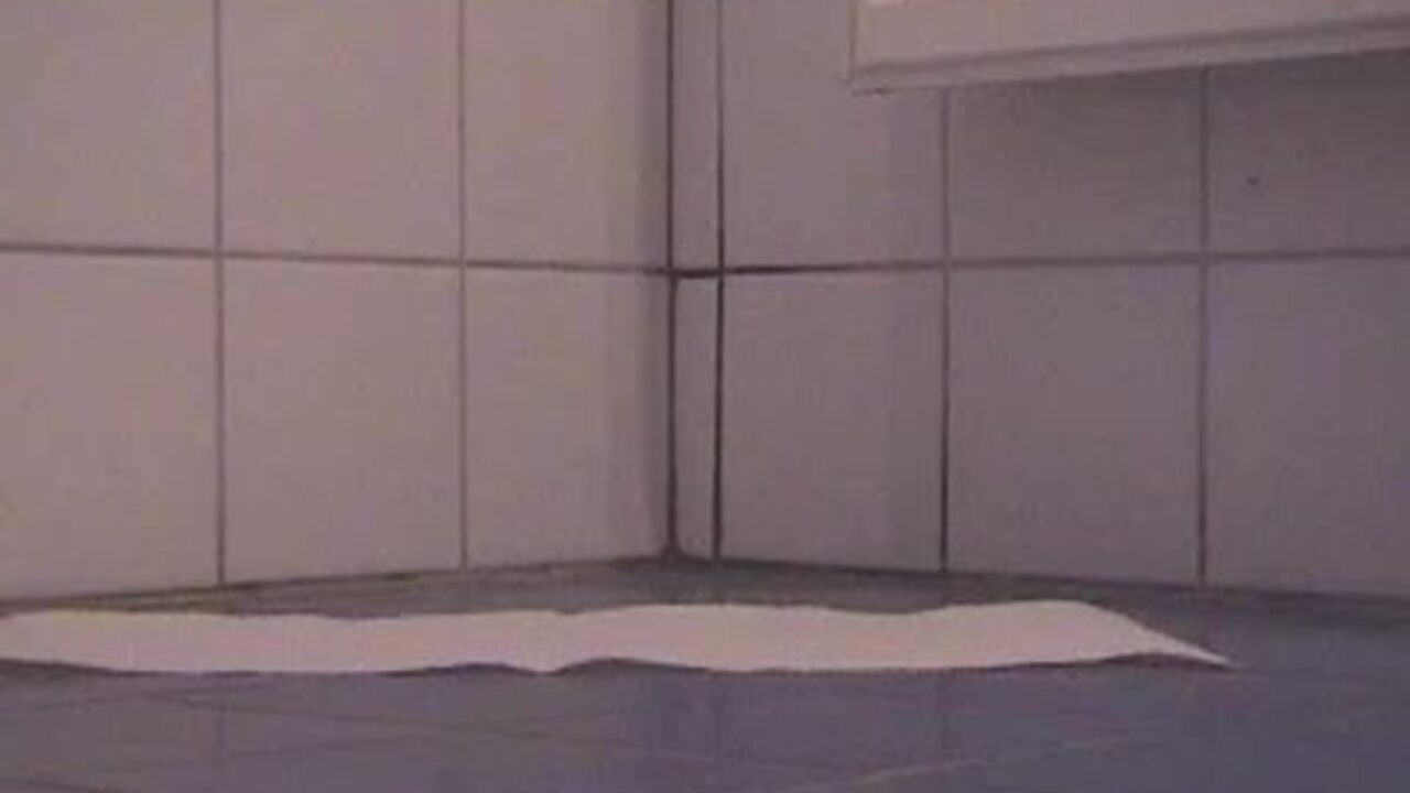 Watch this kinky slut get her scat wet and dirty in this filthy poo video