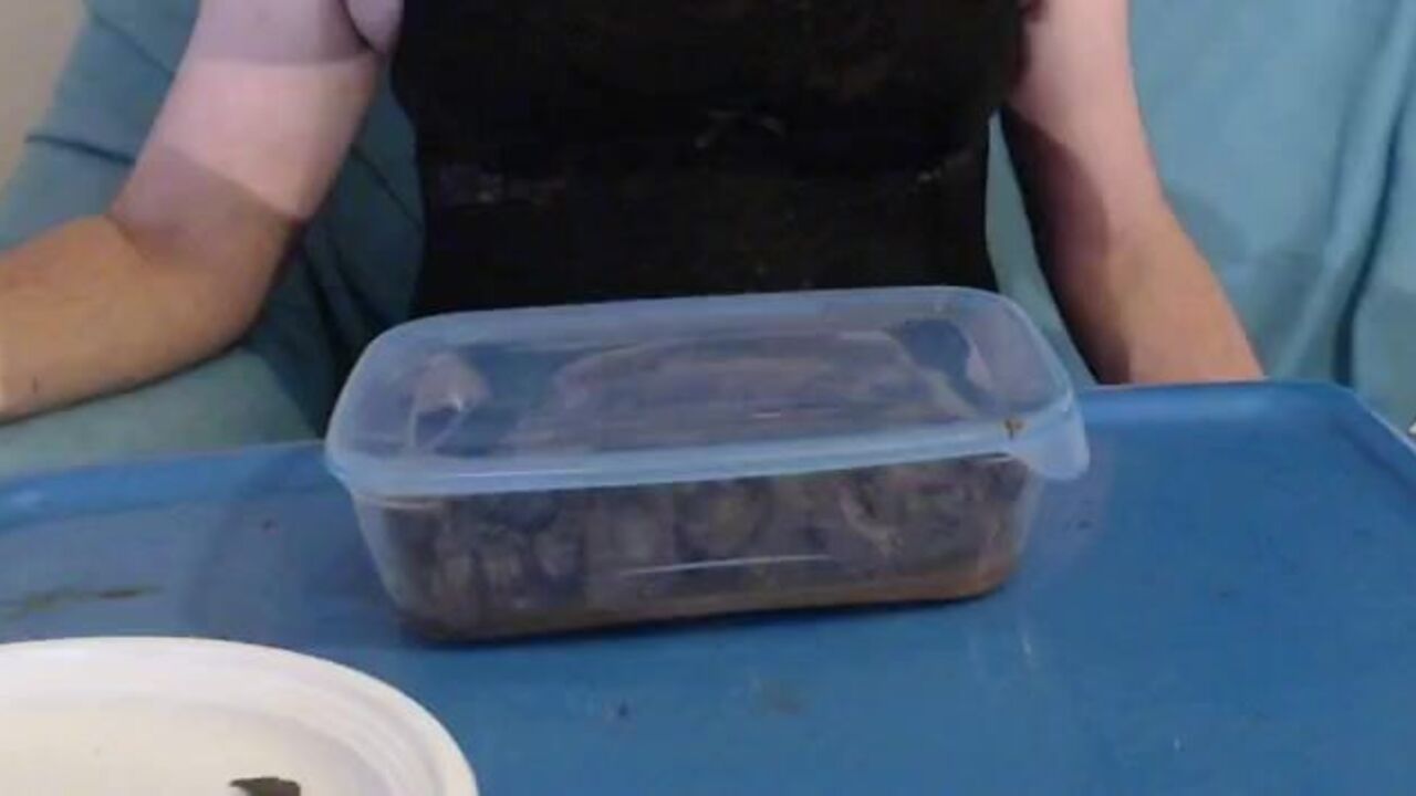 Get off to these kinky videos of slaves getting off with scat play & dirty talk