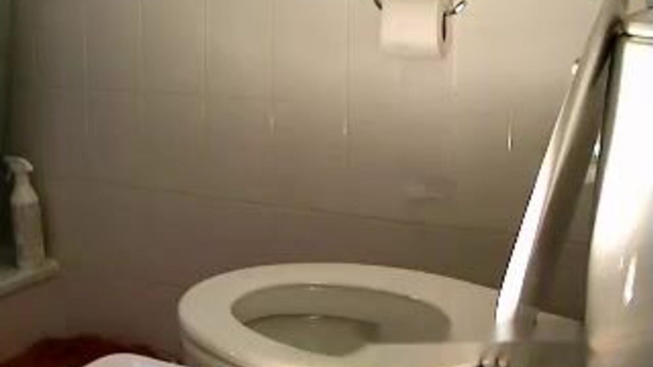 Watch these filthy girls get their scat fix in a hot, steamy video