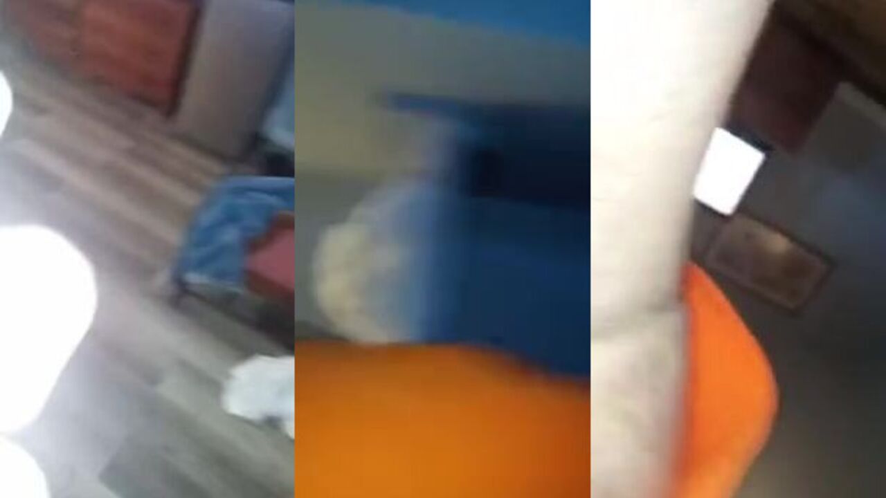 Get a close-up view of a kinky Scat Porn Pooping Session