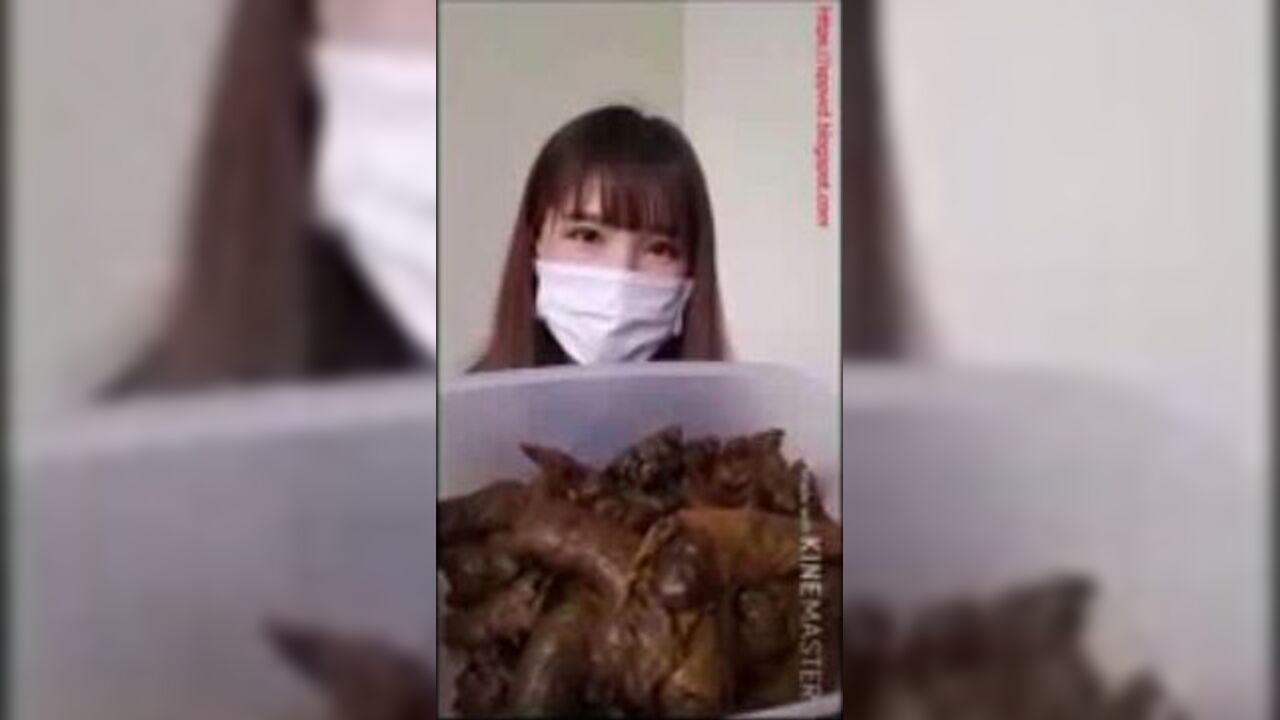 The brown side of life: The scat slave's POV of life's biggest struggles - 1219