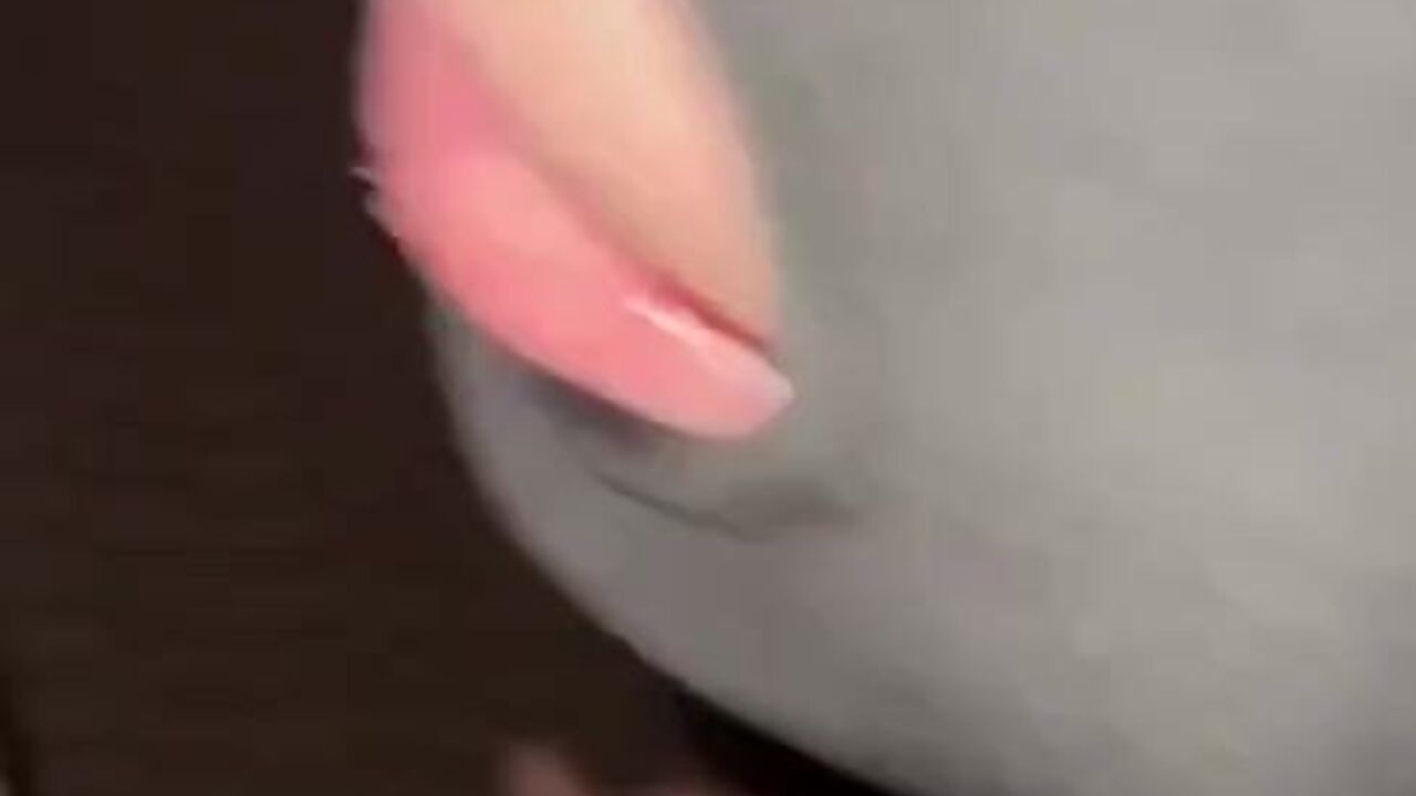 Young Black feeder gets his hairy pussy stuffed with scat and fed with warm spit