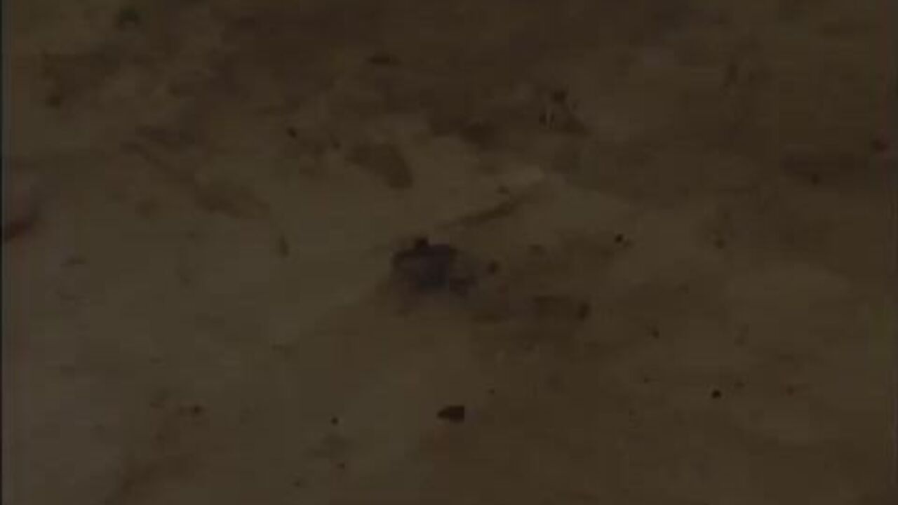 Watch this blonde slut take it deep in her tight ass while her big tits bounce around