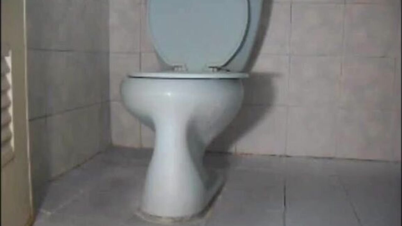 Get off to Cielo 16, the scat porn of the year - women getting off with scatting, poop, shitting, and