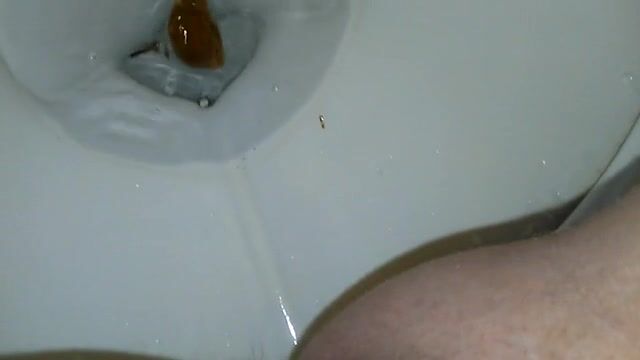 amateur scat on toilet