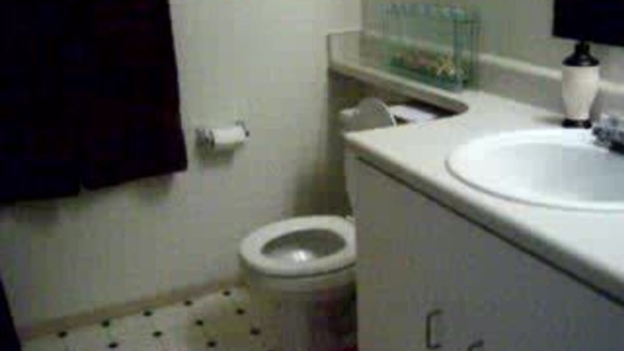 Watch this redheaded slut get the run of the house with her scat fetish and scat slave