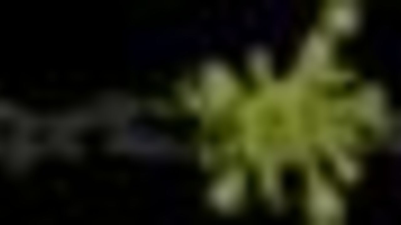 Watch these horny sluts scissor & fuck in the swing door