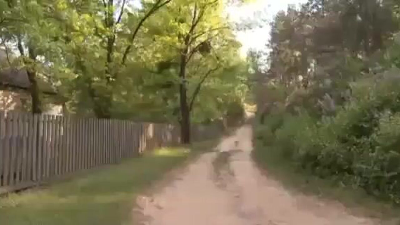 Watch this filthy slave scat in the woods while getting her pooped out