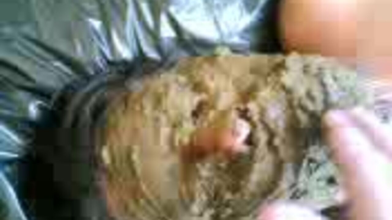 Watch this scat porn video of a pathetic slave getting pumped full of cum