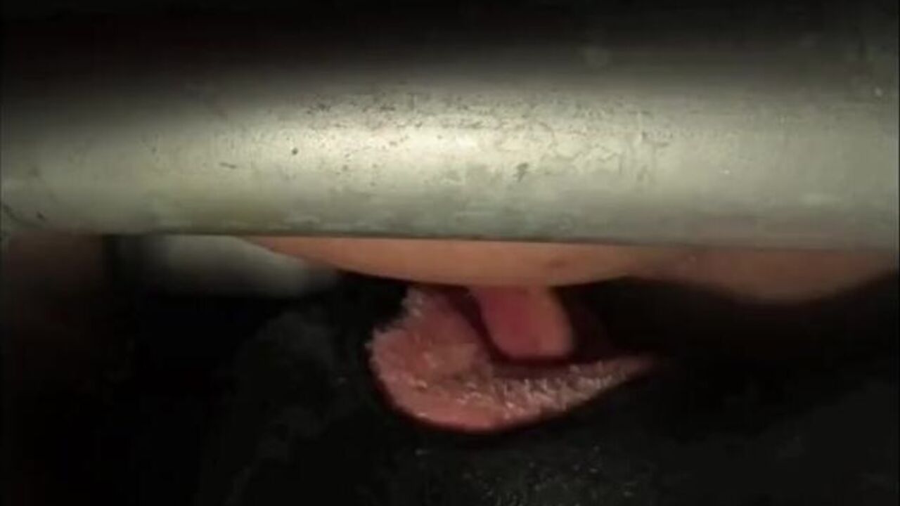 Watch these hungry sluts devour their own turds and feed them to their mouths