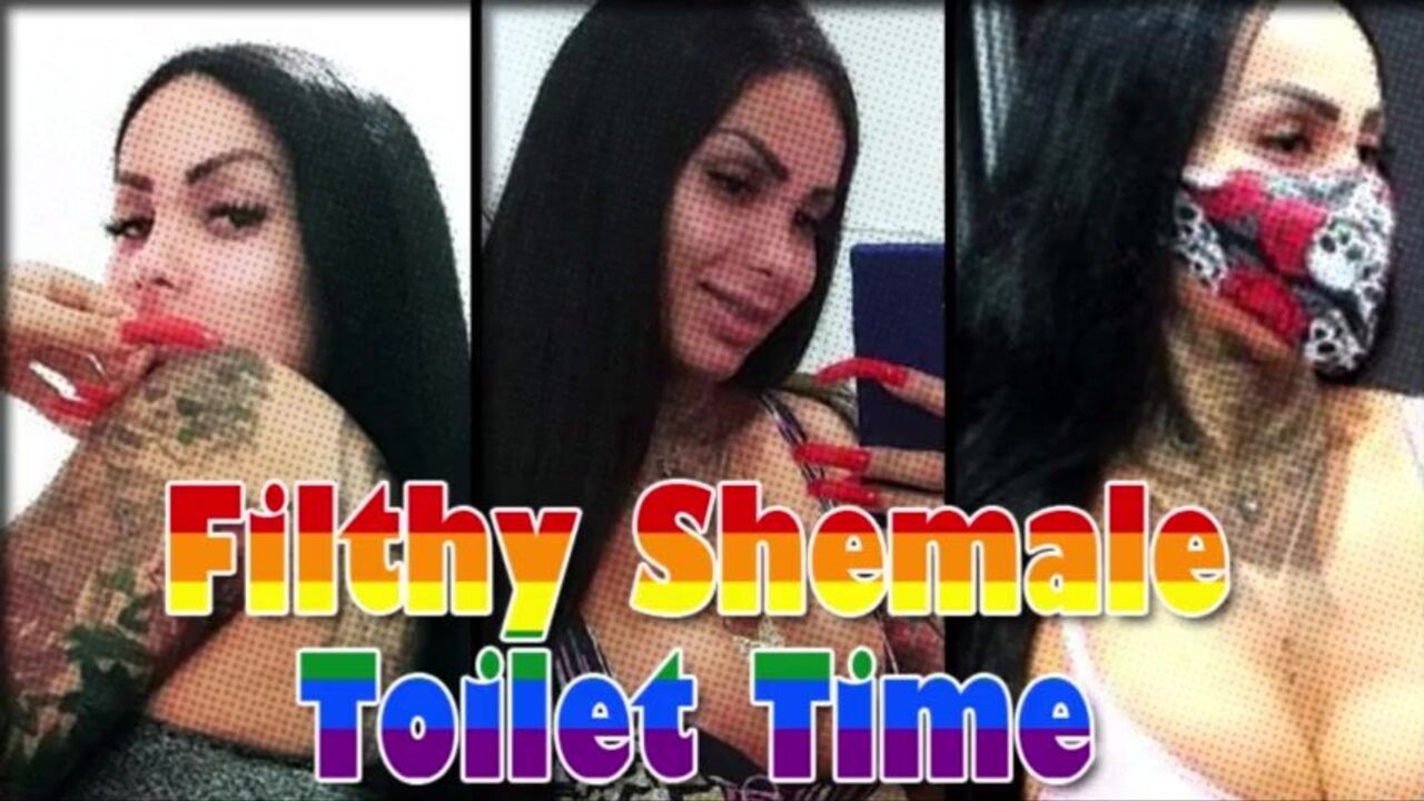Watch this filthy shemale toilet time with her scat fetish