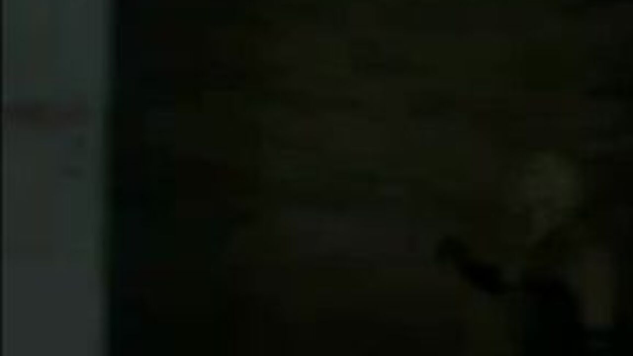 Syonera's scat fetish: A dirty scat porn video with scat girls and their slaves