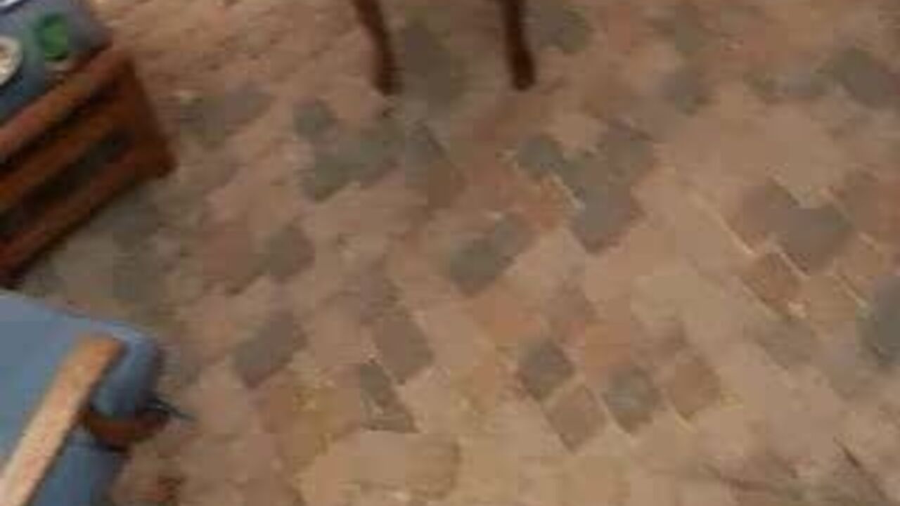 Cunt Delux devours Dad's load in this wild video of her eating for him