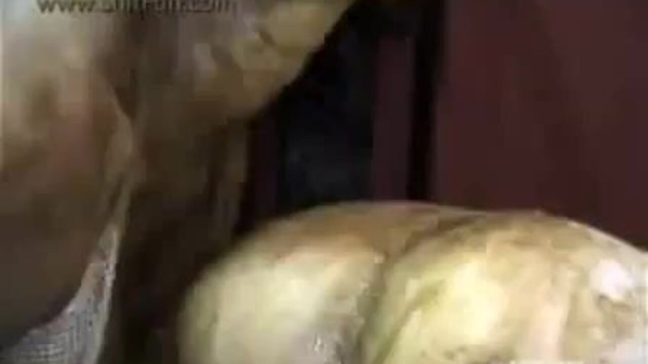 Get up close and personal with the scat fetish video of a filthy slave