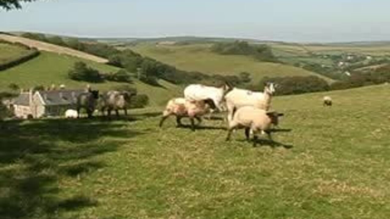 Lucy's second vid is filled with scat and scat porn