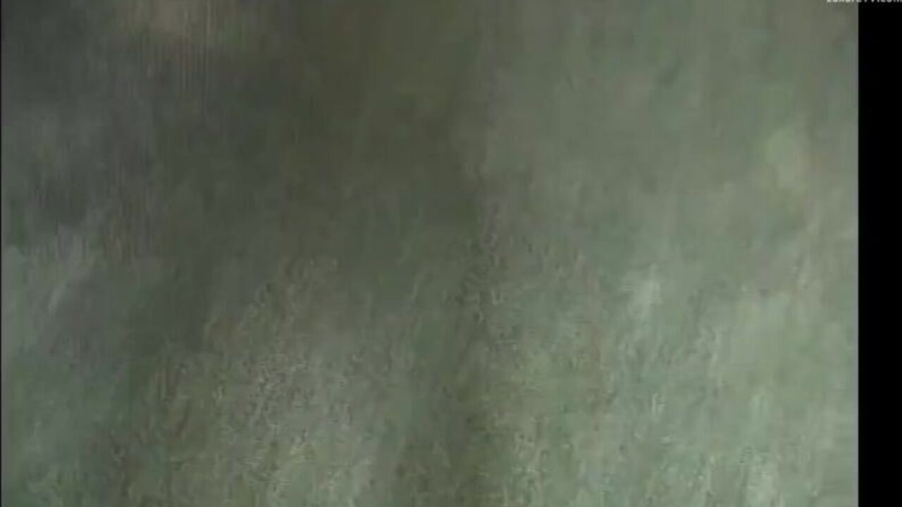 Get ready to be shocked by the most extreme filthy scat porn collection ever!