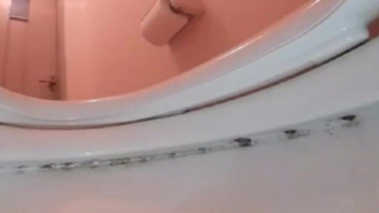 Watch as scat porn goes wild with poop porn and slave action