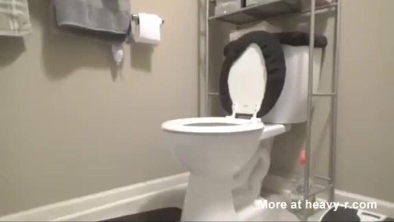 Get off to this dirty porno featuring a scatty slut getting off with her master