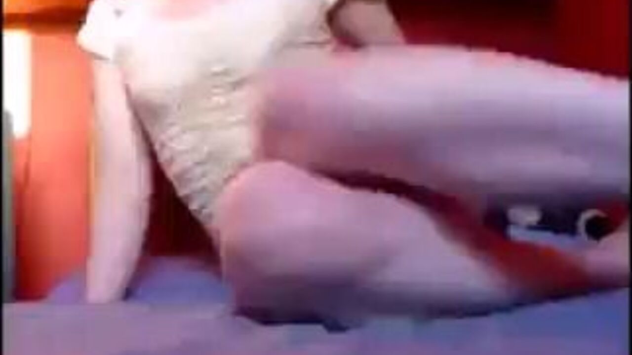 Kinky white panty-clad girl shits upskirt in scat porn video