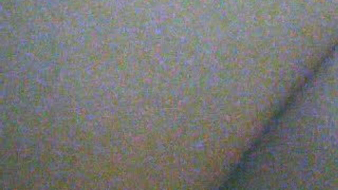 Watch this filthy slut get her scat puss until she's too ashamed to even show it!