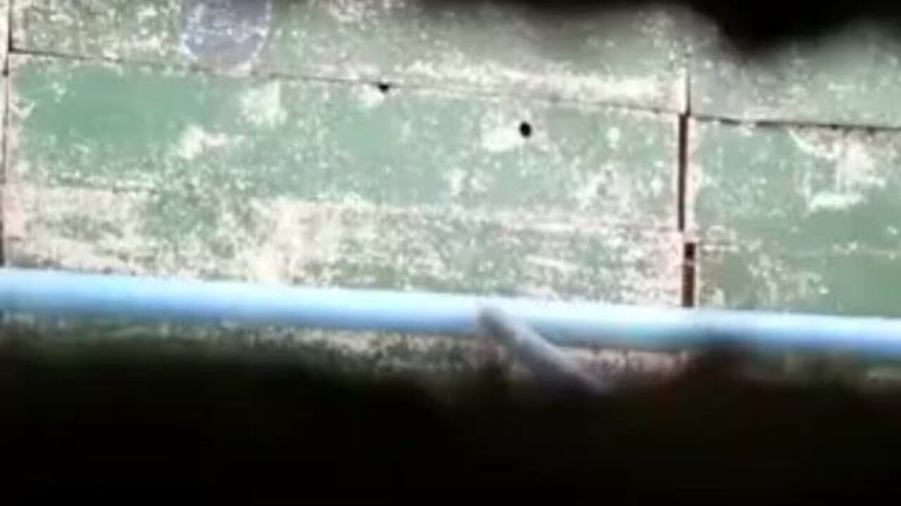 Kinky pervert spies on Shitting Woman and gets a hot surprise