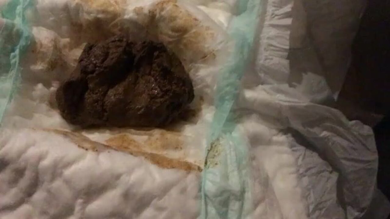 Get ready to drool over this scat goddess's pooped-out ass & taste her delicious farts